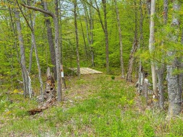 Land for sale in Lovell, Maine