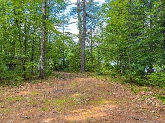Land for sale in Lovell, Maine