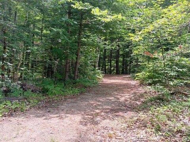 Land for sale in Lovell, Maine