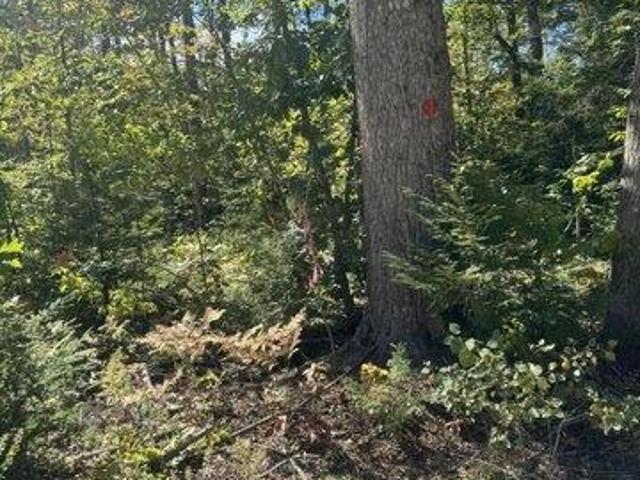 Land for sale in Lovell, Oxford County