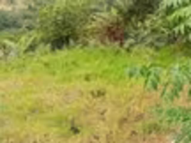 Land for sale
