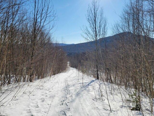 Land for sale in Lowell, Vermont