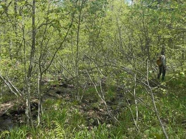 Land for sale in Lowell, Vermont