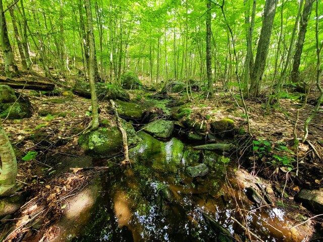 Land for sale in Lowell, Vermont