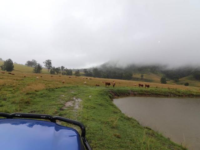 Land for sale in Lower Creek, New South Wales