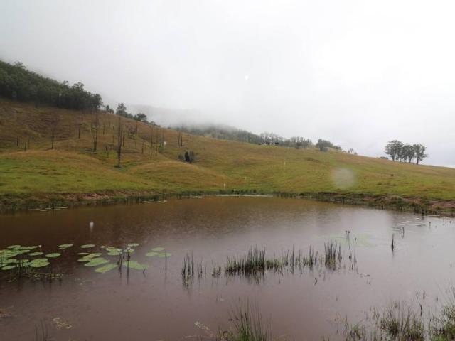 Land for sale in Lower Creek, New South Wales