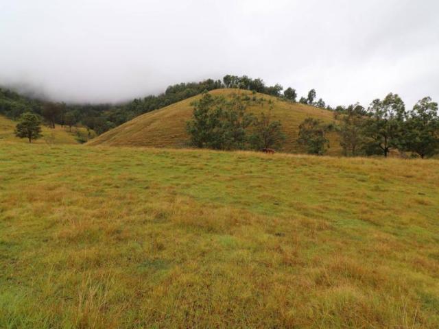 Land for sale in Lower Creek, New South Wales