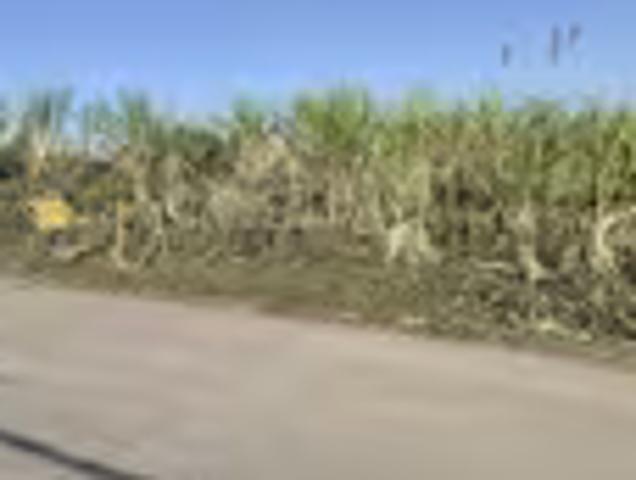 Land for sale in Illovo, Rosebank