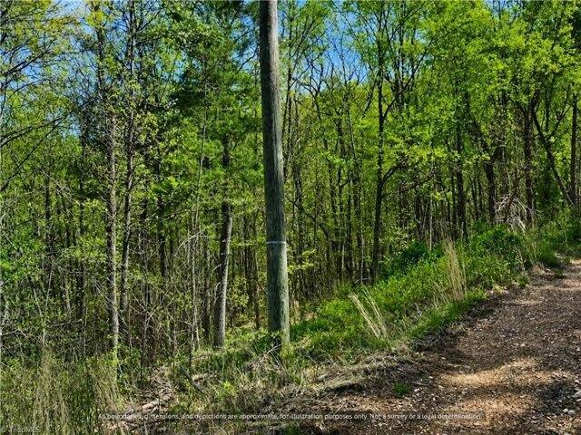 Land for sale in North Carolina