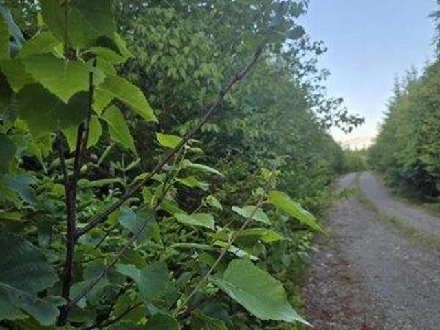 Land for sale in Lubec, Maine