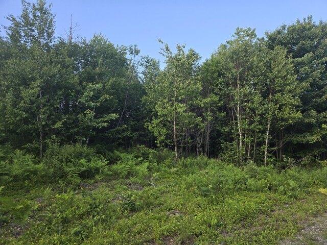Land for sale in Lubec, Maine