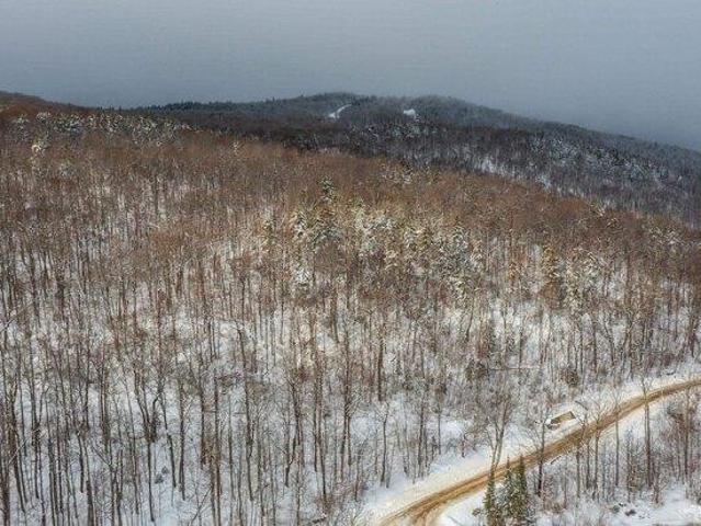 Land for sale in Ludlow, Vermont