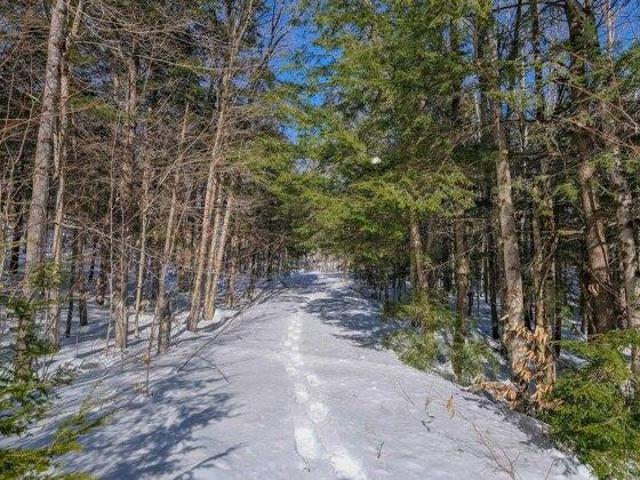 Land for sale in Ludlow, Vermont
