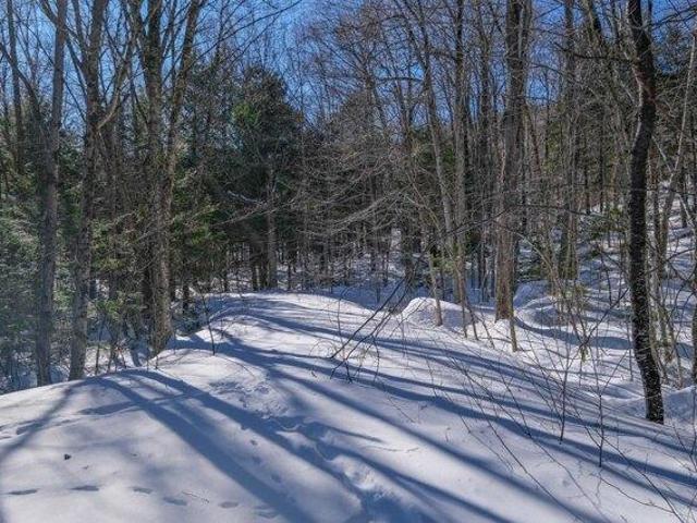 Land for sale in Ludlow, Vermont