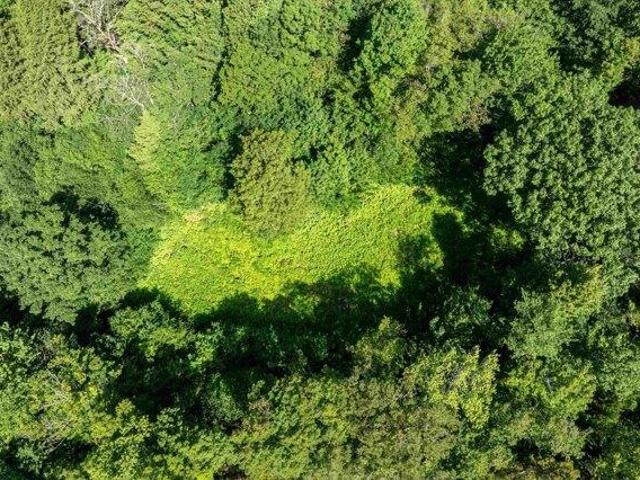 Land for sale in Ludlow, Vermont