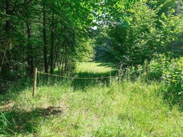 Land for sale in Ludlow, Vermont