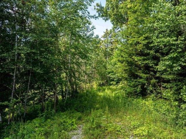 Land for sale in Ludlow, Windsor County