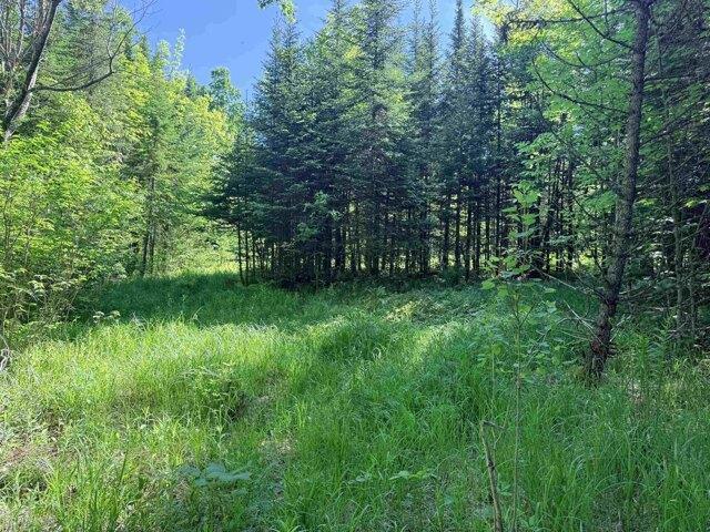 Land for sale in Gilman, Vermont