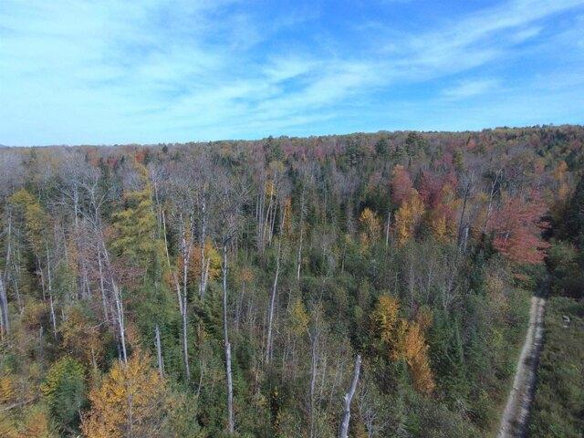Land for sale in Gilman, Vermont