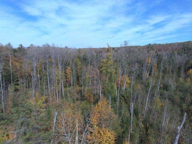 Land for sale in Gilman, Vermont