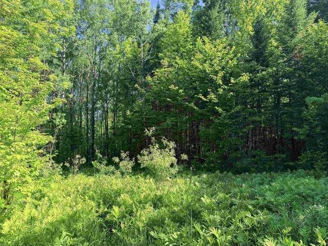 Land for sale in Gilman, Vermont