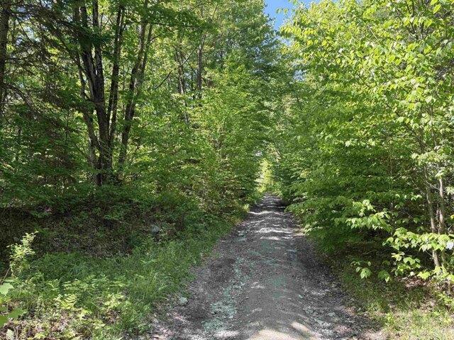 Land for sale in Gilman, Vermont