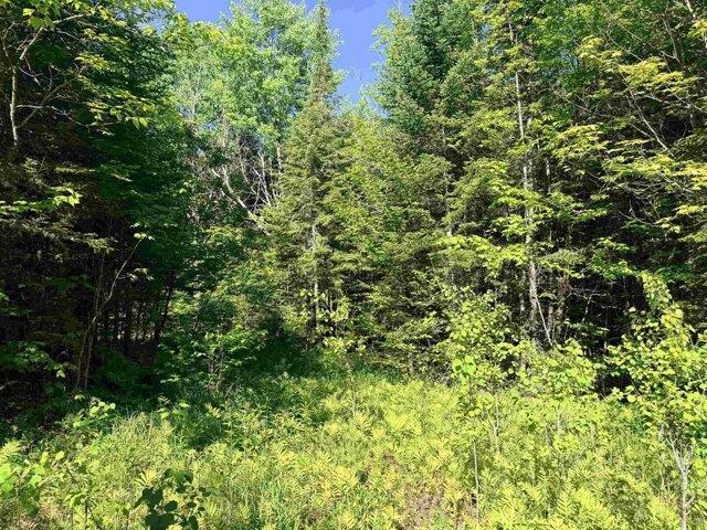 Land for sale in Victory, Lunenburg