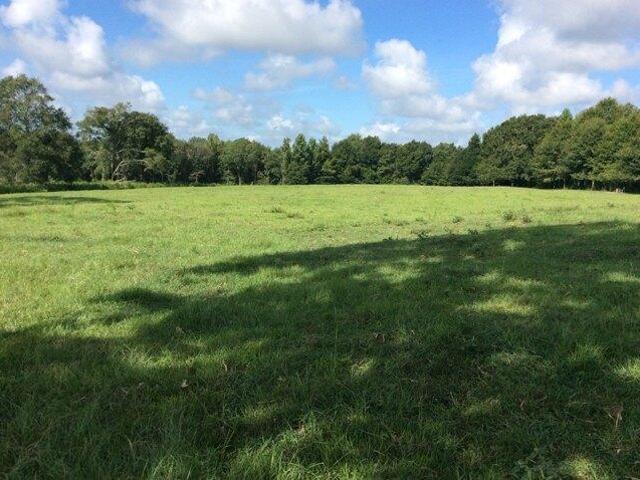 Land for sale in Luverne, Alabama