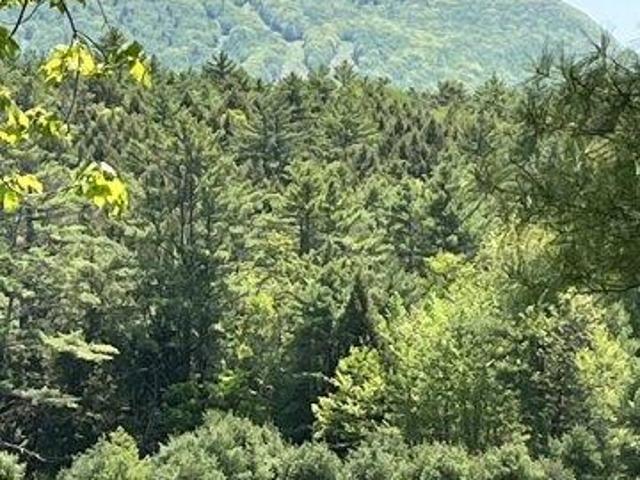 Land for sale in New Hampshire