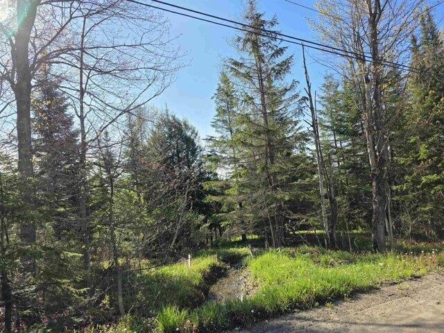 Land for sale in Lyndon, Vermont