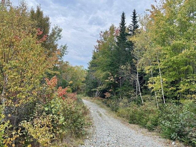 Land for sale in Machias, Washington County