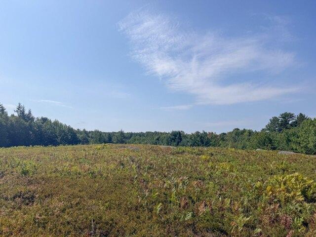 Land for sale in Machias, Washington County