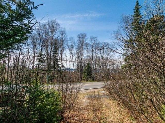 Land for sale in Machiasport, Maine