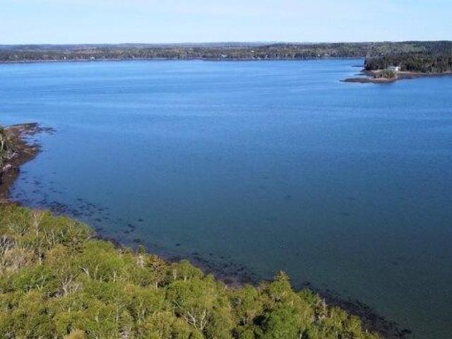 Land for sale in Machiasport, Maine