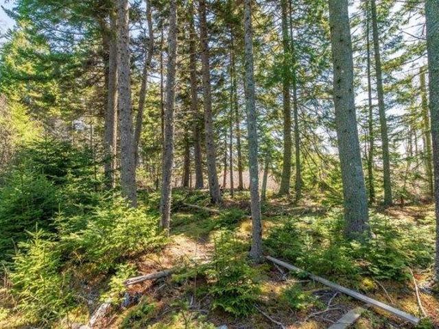 Land for sale in Machiasport, Maine