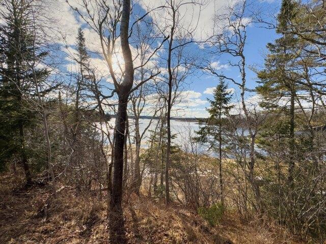Land for sale in East Machias, Maine
