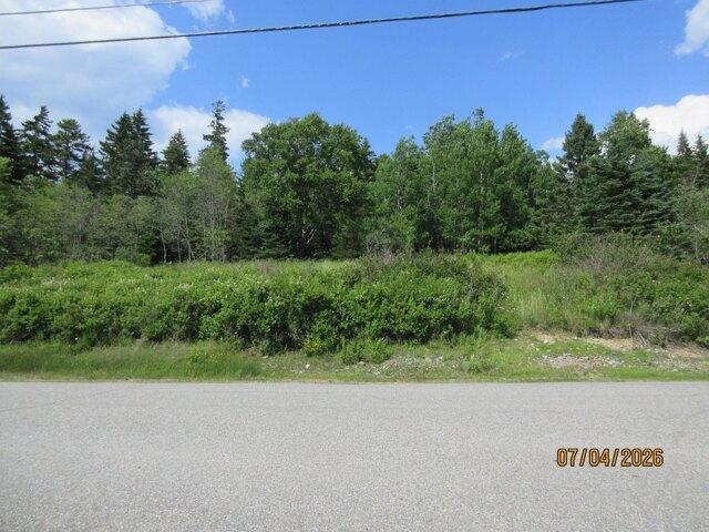 Land for sale in Machiasport, Maine