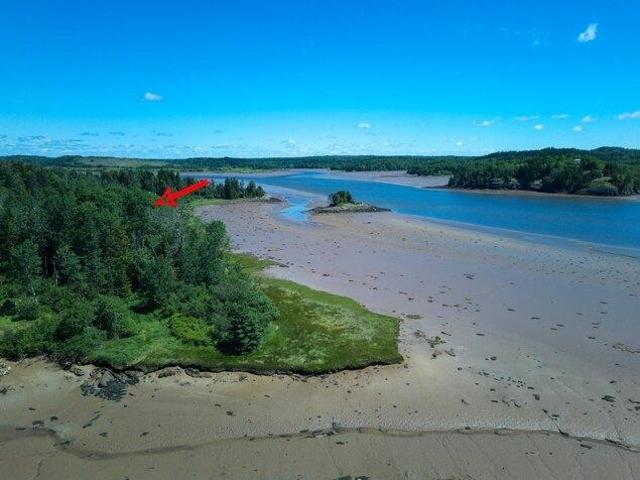 Land for sale in Machiasport, Maine