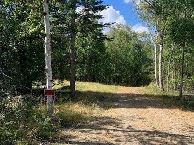 Land for sale in Machiasport, Washington County