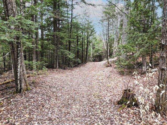 Land for sale in Madison, Maine