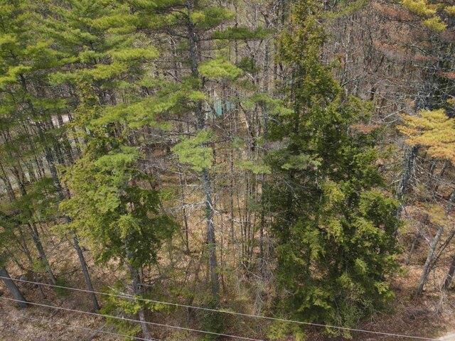 Land for sale in New Hampshire
