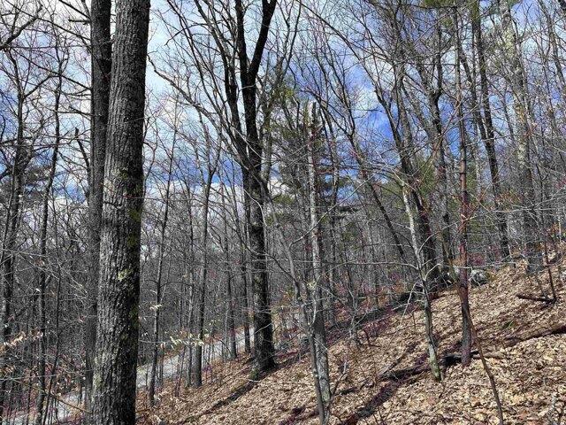 Land for sale in New Hampshire