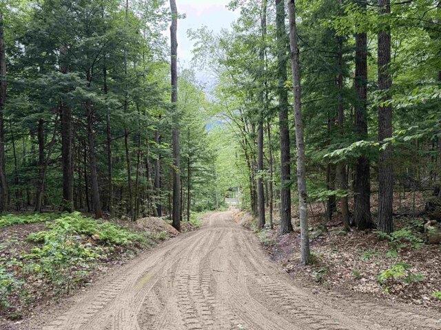 Land for sale in Albany, Madison