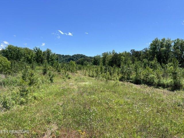 Land for sale in Tennessee