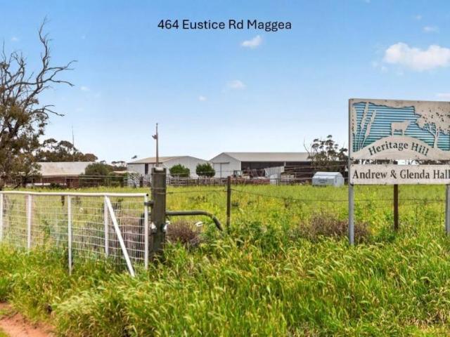 Land for sale in Maggea, The District Council of Loxton Waikerie