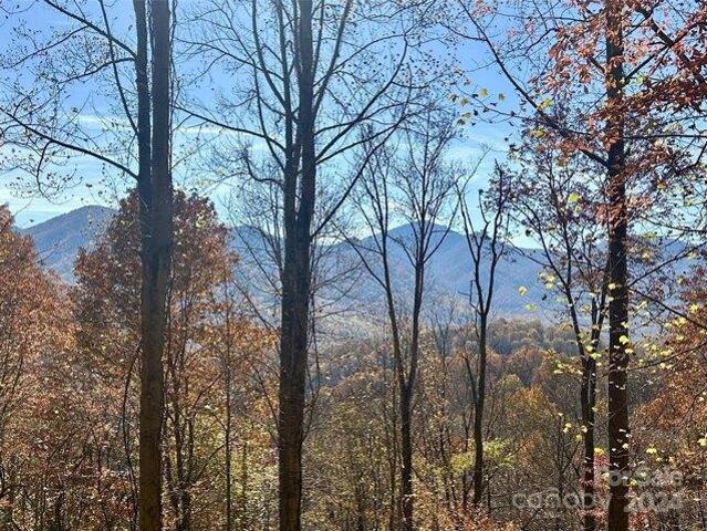 Land for sale in Haywood, North Carolina