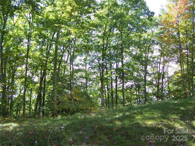 Land for sale in Maggie Valley, North Carolina