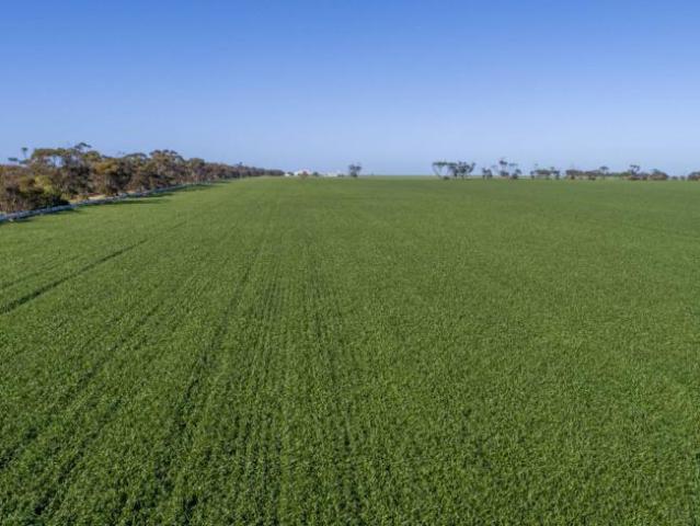 Land for sale in Maitland, Yorke Peninsula Council