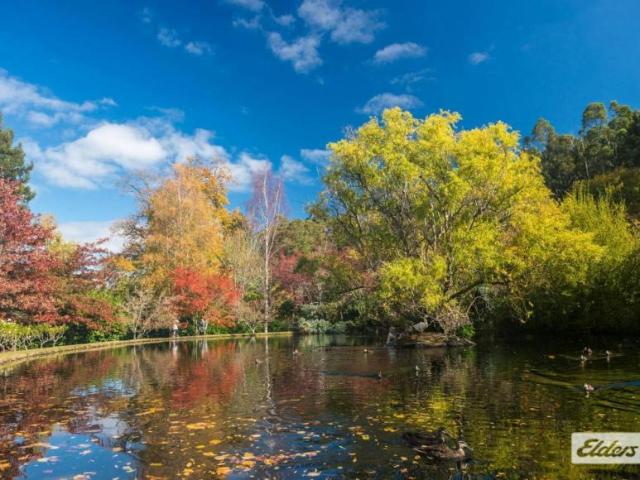 Land for sale in Malmsbury, Shire of Macedon Ranges