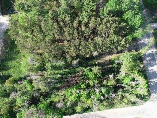 Land for sale in Manistique, Michigan